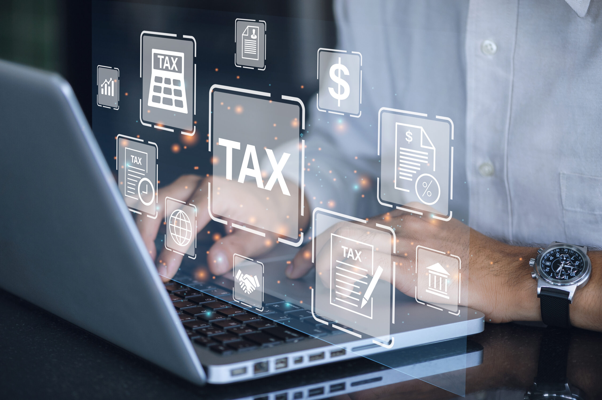Business using a computer to complete Individual income tax retur