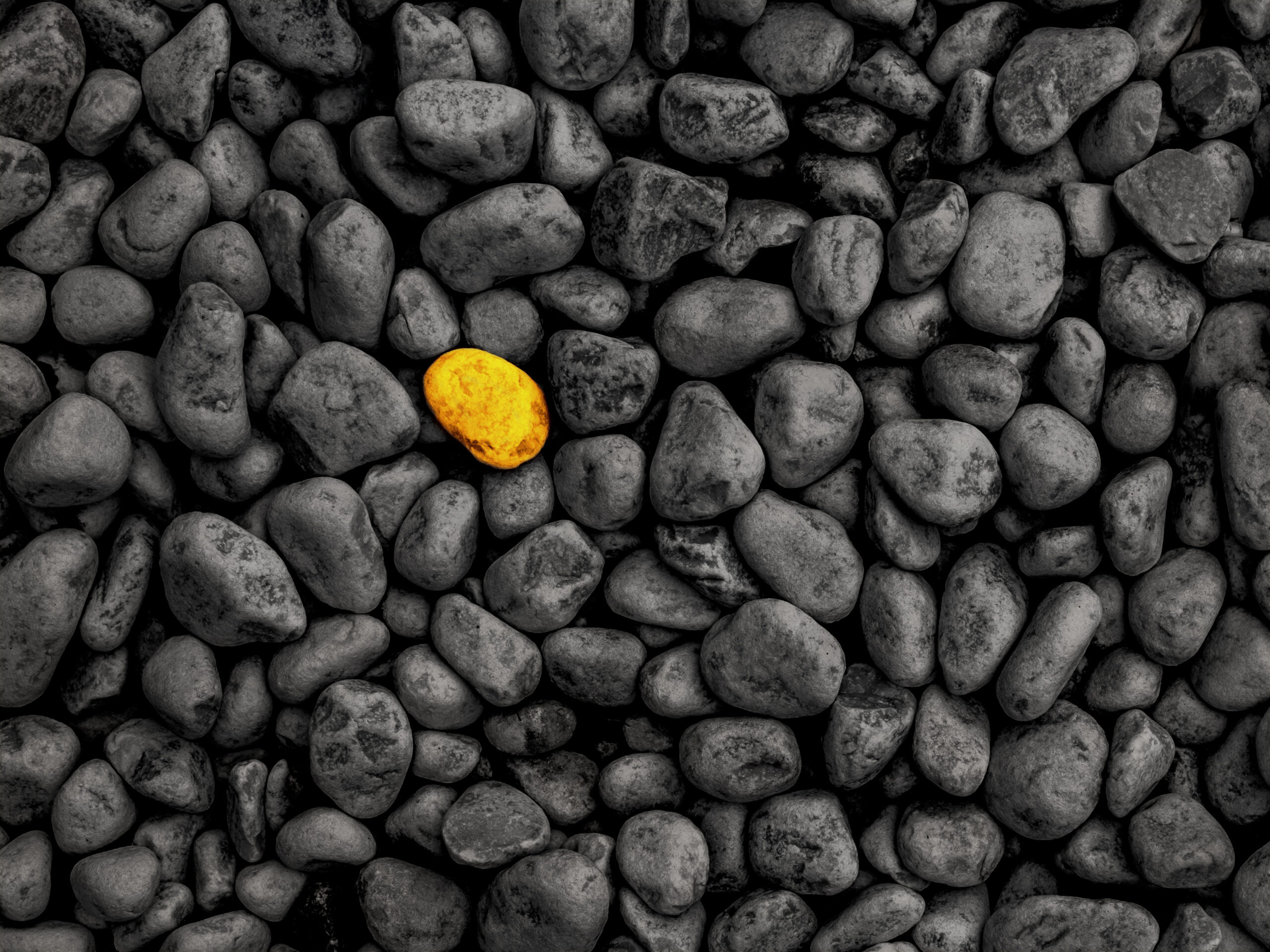 unique stone stand out from the crowd concept – unique stone stand out from the crowd concept