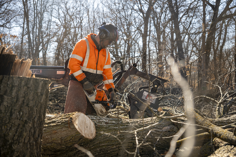 Total Control Tree Service crew member processing a large tree with a chainsaw