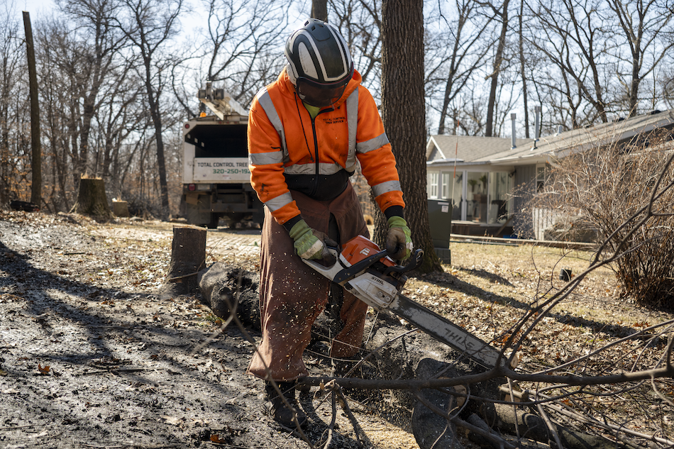 Total Control Tree Service crew member cutting branches with a chainsaw